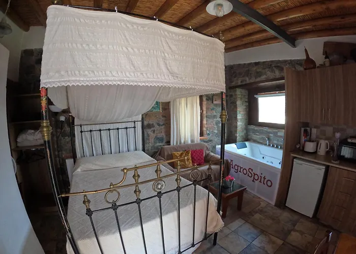 ゲストハウス Agrospito Traditional アグロス